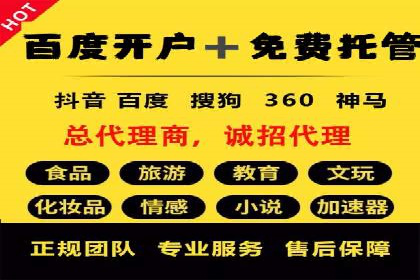 成功案例分享：SEM托管服务助力企业提升竞争力